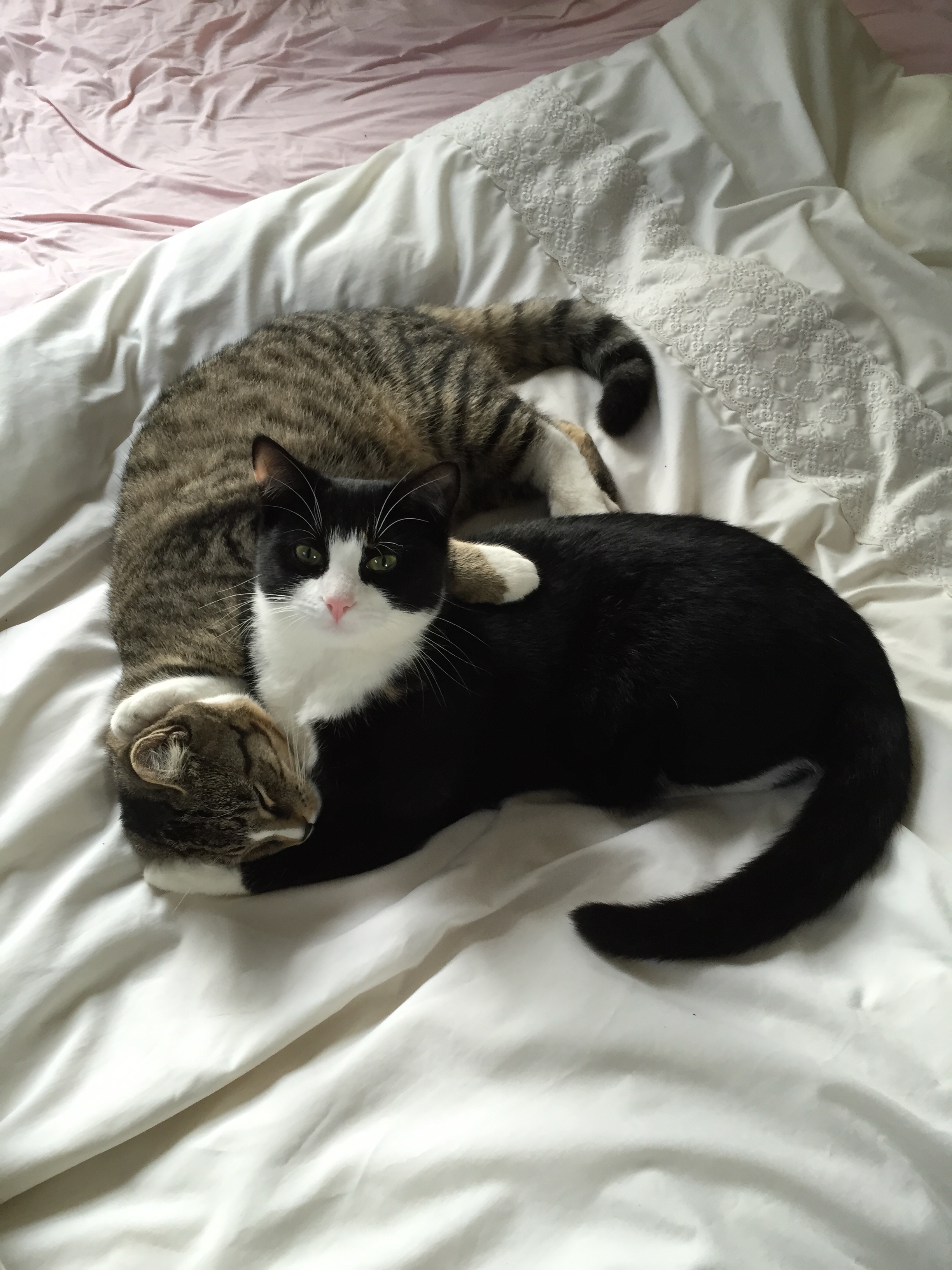 magic-leo-still-in-love