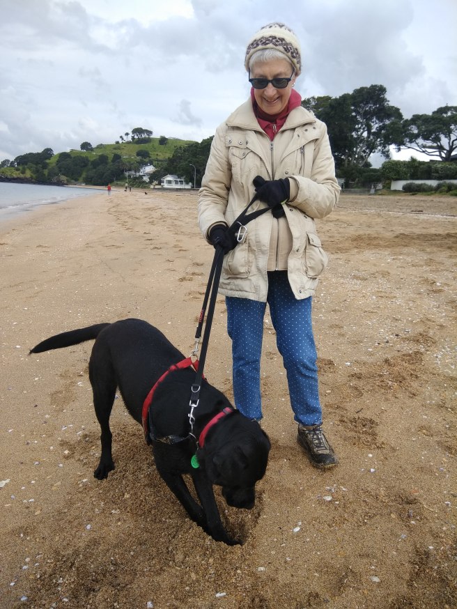 Ireland digging on beach