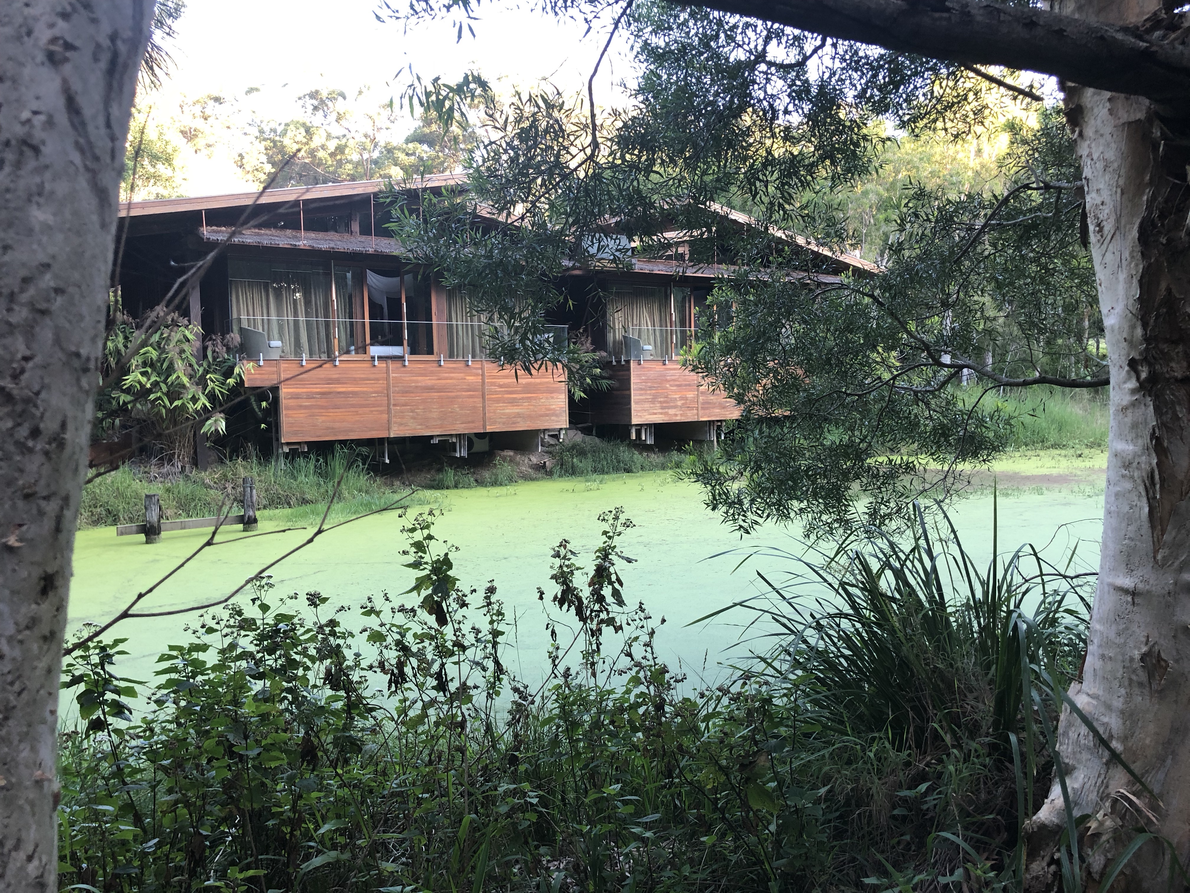 Billabong Villas Gwinganna