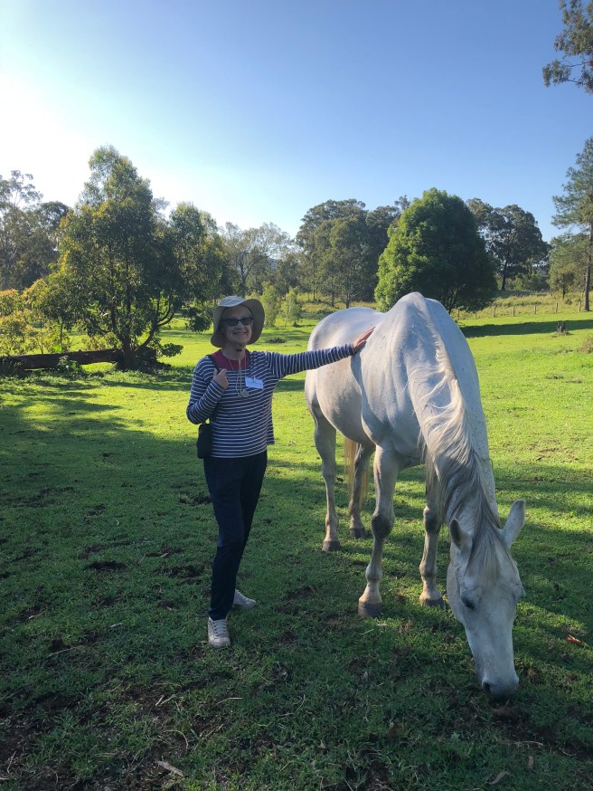 Horse therapy Gwinganna